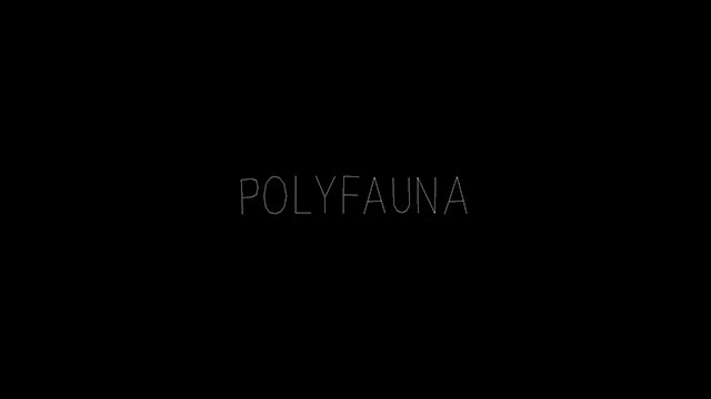 polyfauna2